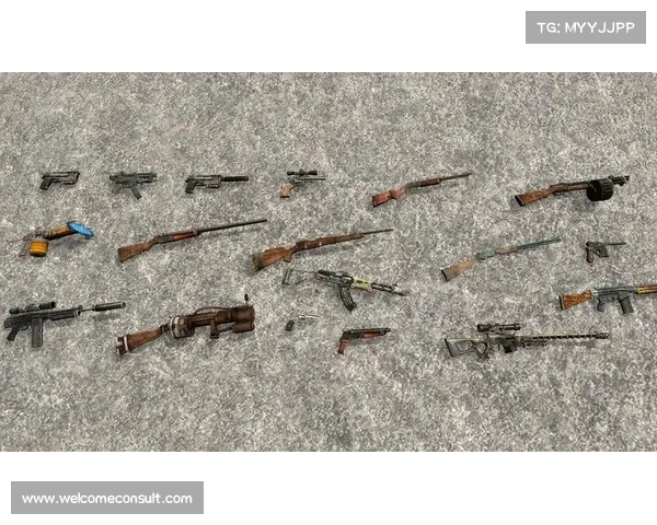 辐射升级:武器进化之道 辐射升级:武器进化之道